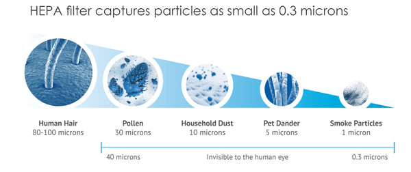 RAYCOP HEPA FILTRATION 