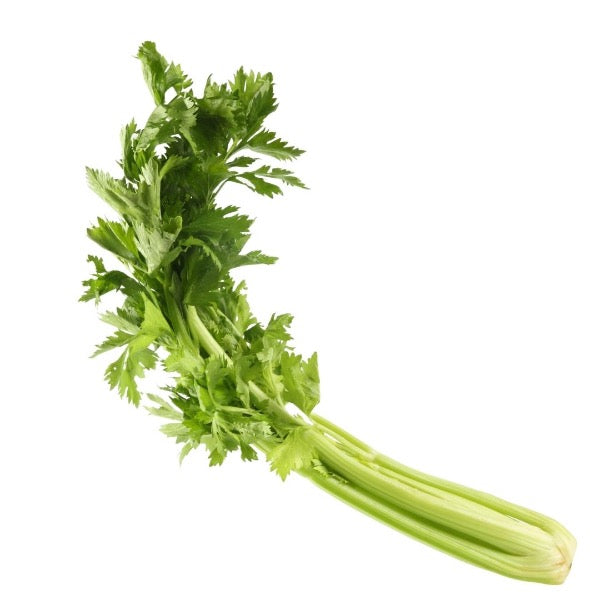 Celery green, leafy, single bunch | Sharbatly.Club