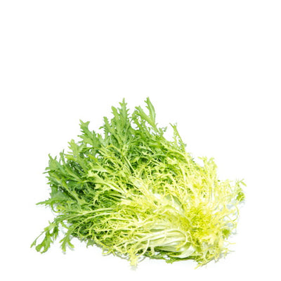 Lettuce Frisee Yellow Curled Endive Single Piece Sharbatly Club