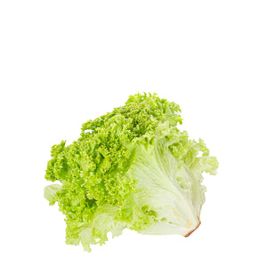 Lettuce, Lollo Biondo, single piece 