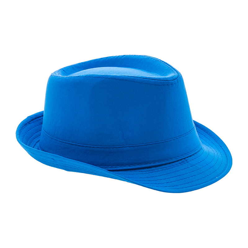 Leben hat. Шляпа. Синяя шляпа. Голубая шляпка. Синяя шляпа без фона.