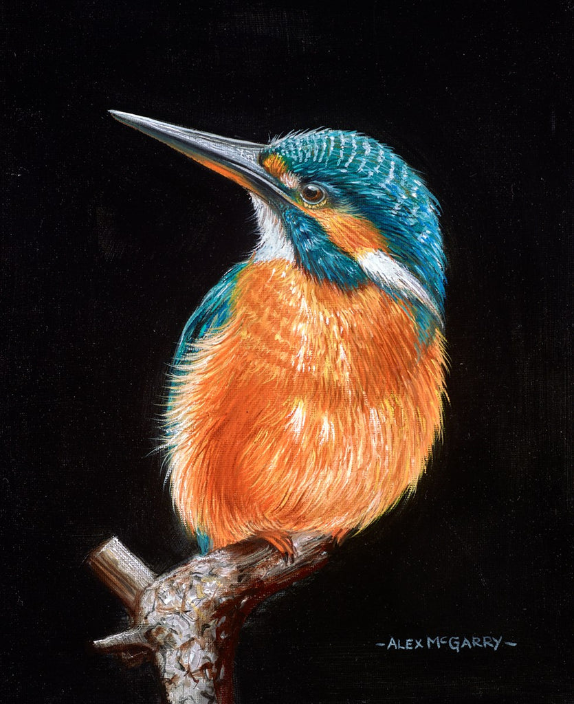 Still Kingfisher Original by Alex McGarry - The Acorn Gallery, Pocklington