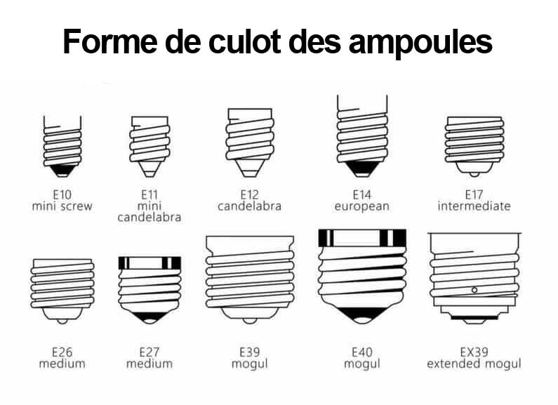 TYPE D'AMPOULE, TAILLE, CULOT, GUIDE COMPLET