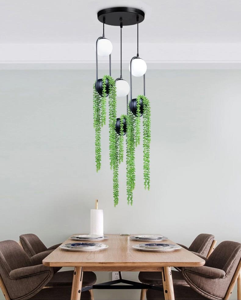 Lampe suspendue élégante avec plante grasse