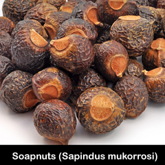 Soapnuts Ayurvedic Herb for Natural Hair Care