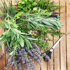 Natural Bug Repellent Herbs for Smoke Sticks