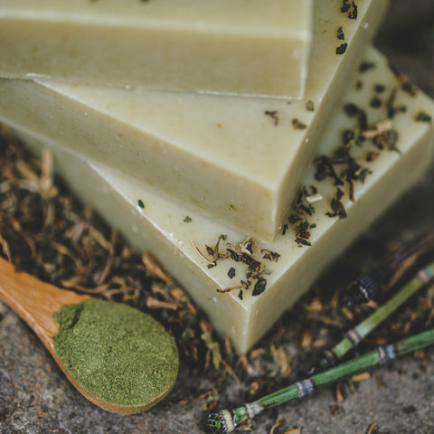 Natural Organic Nettle Shampoo Bar with Horsetail Shavegrass