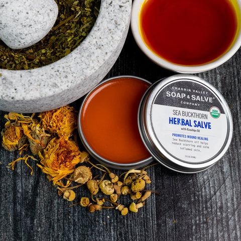 Natural Organic Healing Herbal Salve Sea Buckthorn & Rosehips Oil