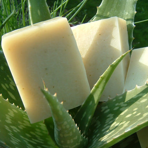 Natural Organic Soap with Aloe Vera