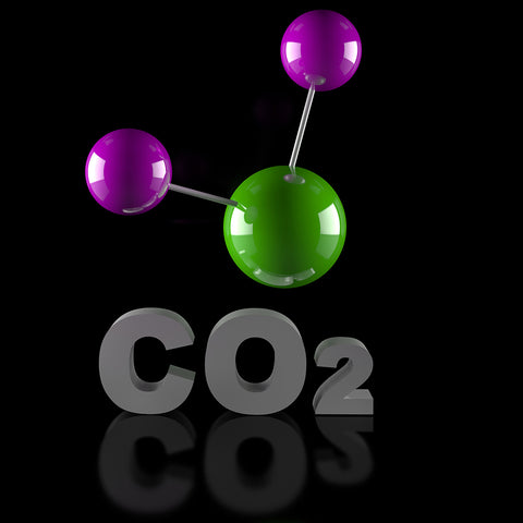 Carbon dioxide extraction used to extract the essential oil from botanical material 