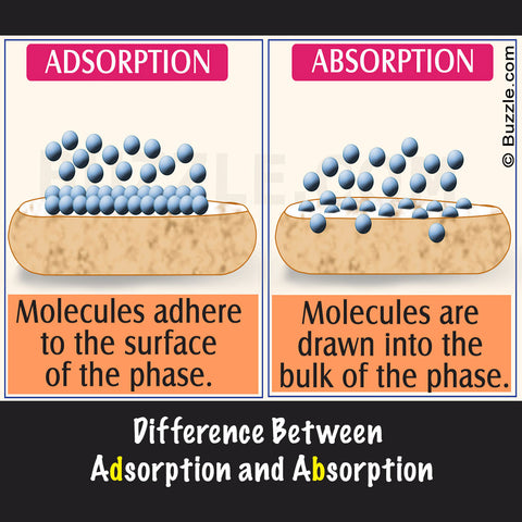 Adsorption vs Absorption in Facial Clay