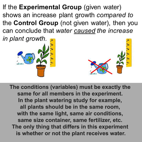 Control group receives no treatment or a standardized treatment