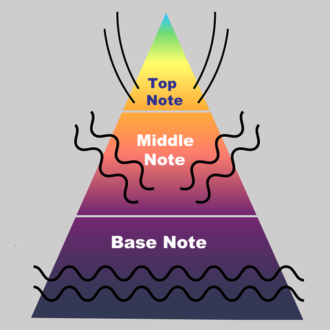 Aromatherapy Essential Oil Notes