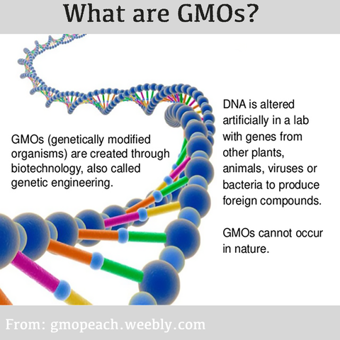 Natural Organic Skin Care without GMO Ingredients