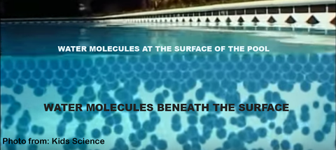 Surface Tension of Water in a Swimming Pool