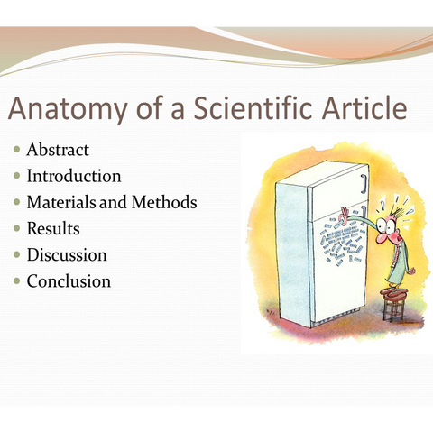 Sections found in a Scientific Research Paper