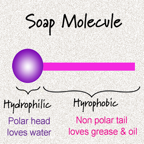 Graphic of Soap Molecule with Polar Head & Non Polar Tail