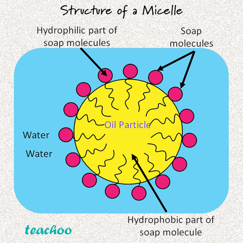 How Soap Works Structure of a Micelle