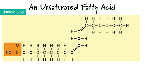 Unsaturated Fatty Acid Natural Handmade Soap Making