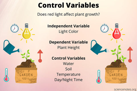 Independent, Dependent & Control Variable in Research