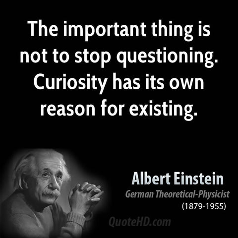 Albert Einstein Never Stop Questioning