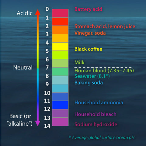 Natural Organic pH Balanced Skin Care Chart