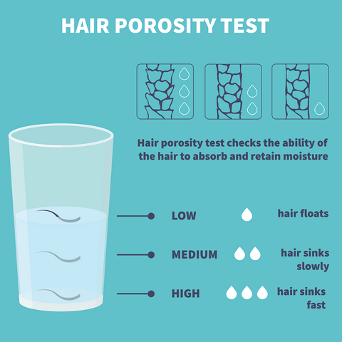 Natural Hair Care Hair Porosity Test