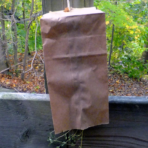 Protect drying herbs with a paper bag