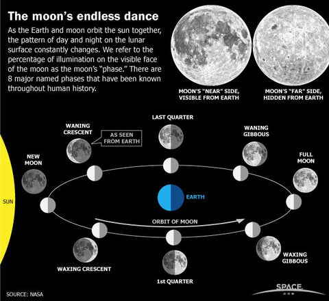 Phases of the Moon