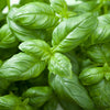 Natural Organic Basil Facial Skin Care