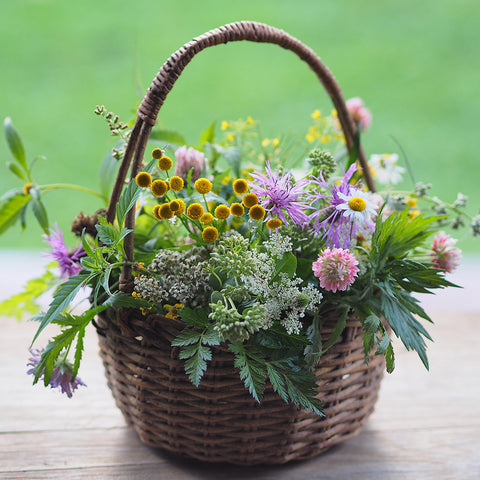 Basket of Medicinal Herbs used in Natural Herbal Skin Care