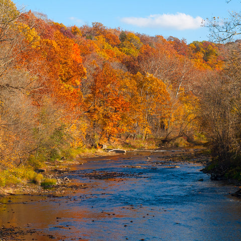 Chagrin River in Autumn