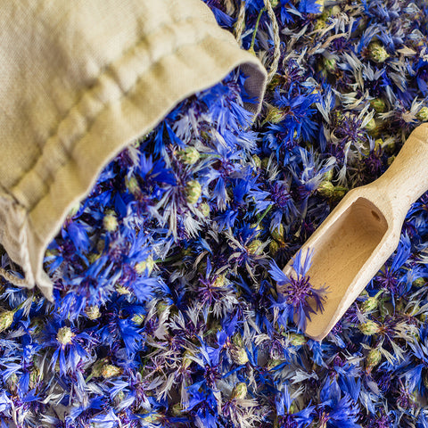 Cornflower Infusion Helps with Yellowing Hair