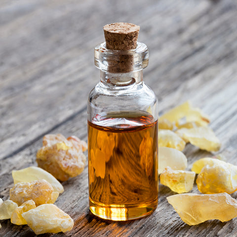 Frankincense Essential Oil from Endangered Species