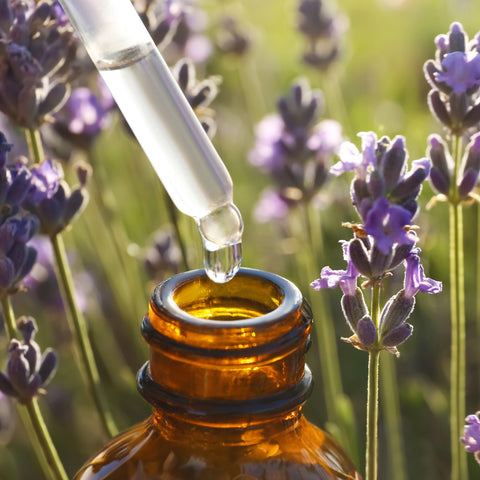 Natural Organic Lavender Essential Oil Drop