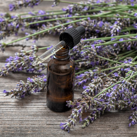 Natural Organic Lavender Essential Oil 