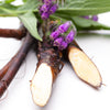 Natural Organic Skin Care & Hair Care with Comfrey