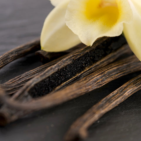 Natural Organic Skin Care & Hair Care with Vanilla Beans