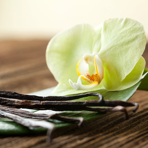 Vanilla Beans and Flower