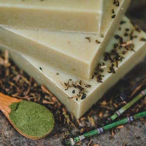 Natural Organic Nettle Shampoo Bar