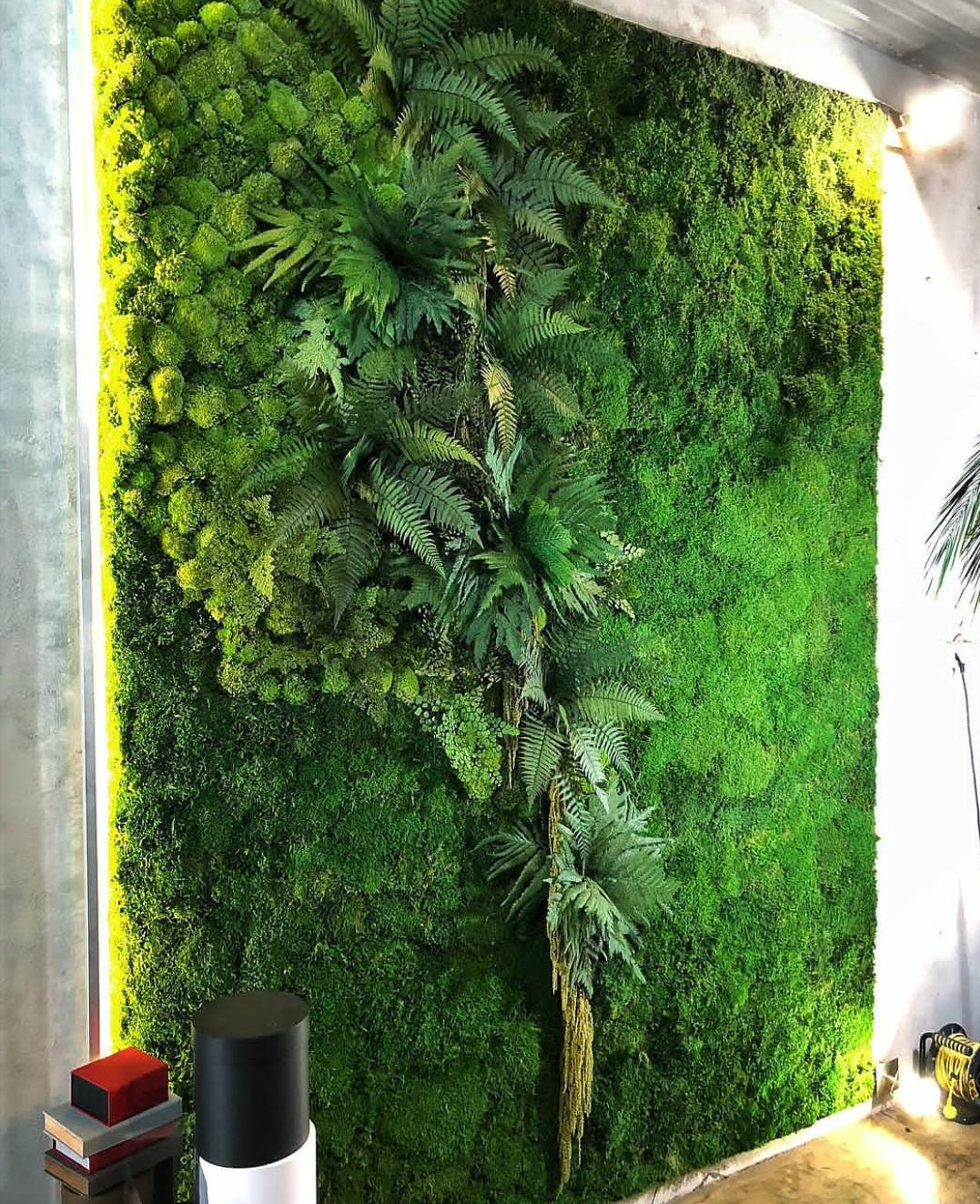 Preserved Green Walls – Eternally Flowers