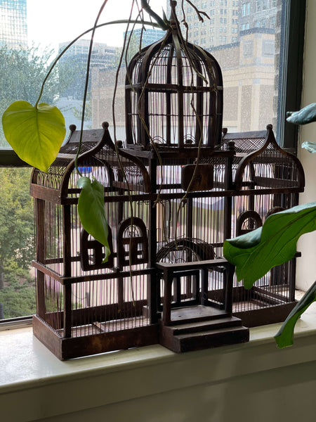 large vintage birdcage in window with plants