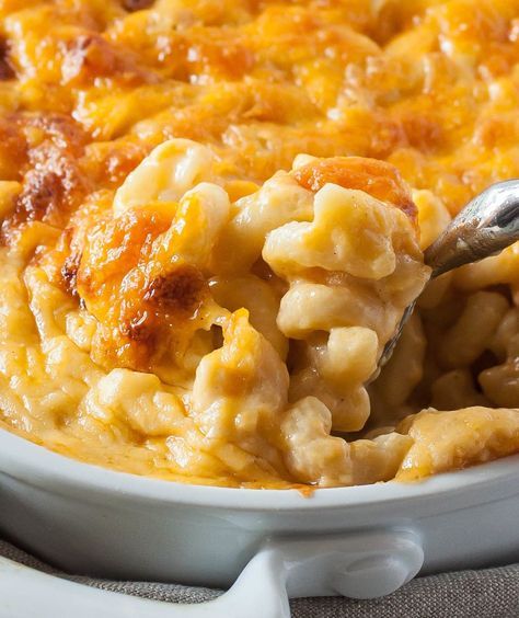 macaroni au fromage cuit au four du sud recettes de plats réconfortants d'automne