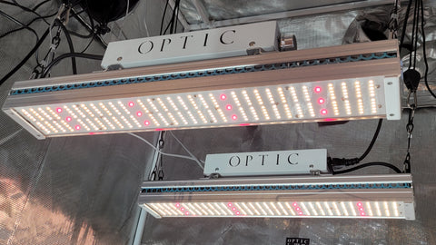 Best for 2' x 2' area (.6m x .6m) — Optic LED