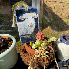 Good Shepherd Sheep Reminder Tag as Plant Decor