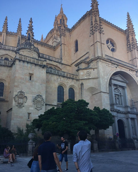 Totte | Castilla y Leónの旅『Segovia』