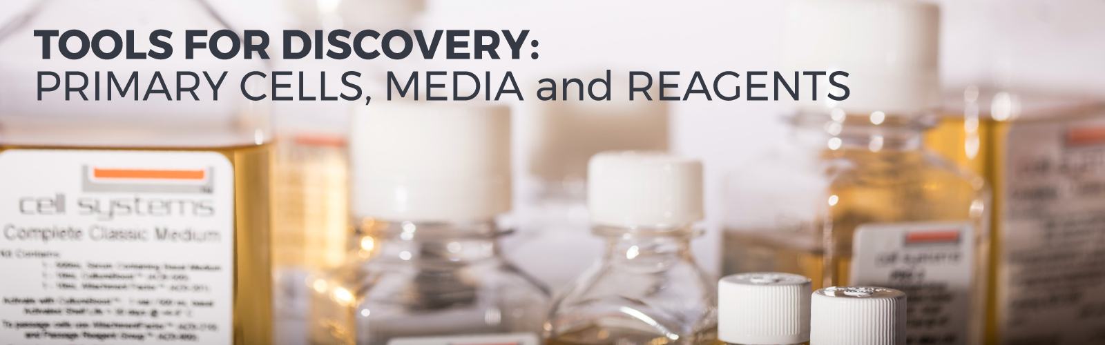 Tools for Discovery: Primary Cells, Media and Reagents