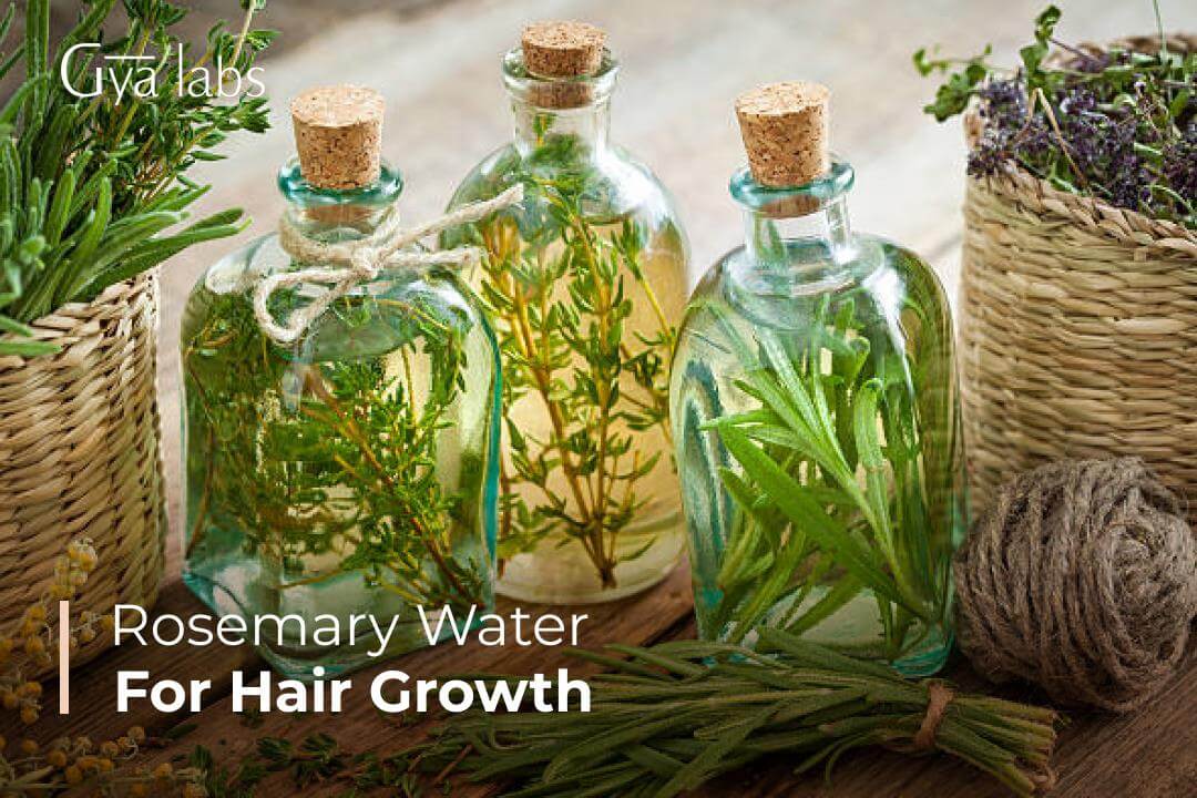 Rosemary Hair Rinse How to Make It  Its Benefits