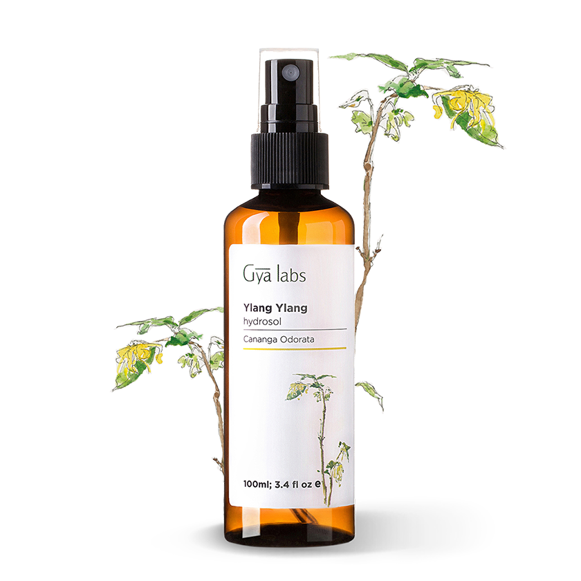 About This Product Image