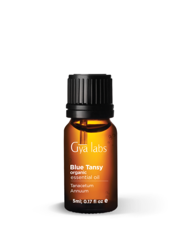 Blue Tansy Essential Oil